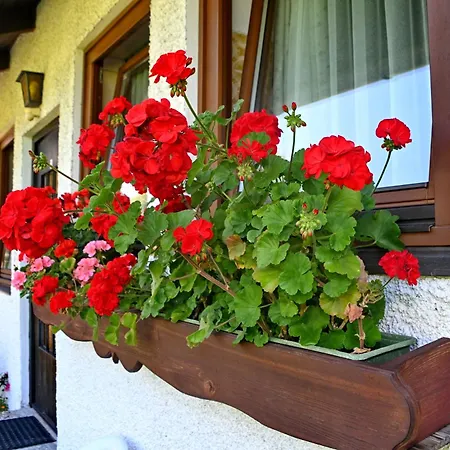 Haus Helpferer Ruhiges Mit Balkon Und Bergblick Apartmán Bad Aussee